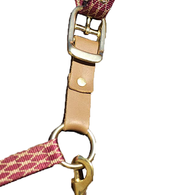 Halter & Lead Accessories – Horse Cents Tack Shop