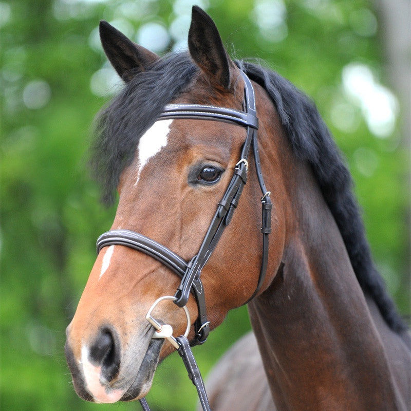 English Bridles – Horse Cents Tack Shop